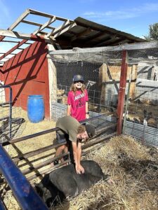 Lee martinez farm in old town fort collins, colorado