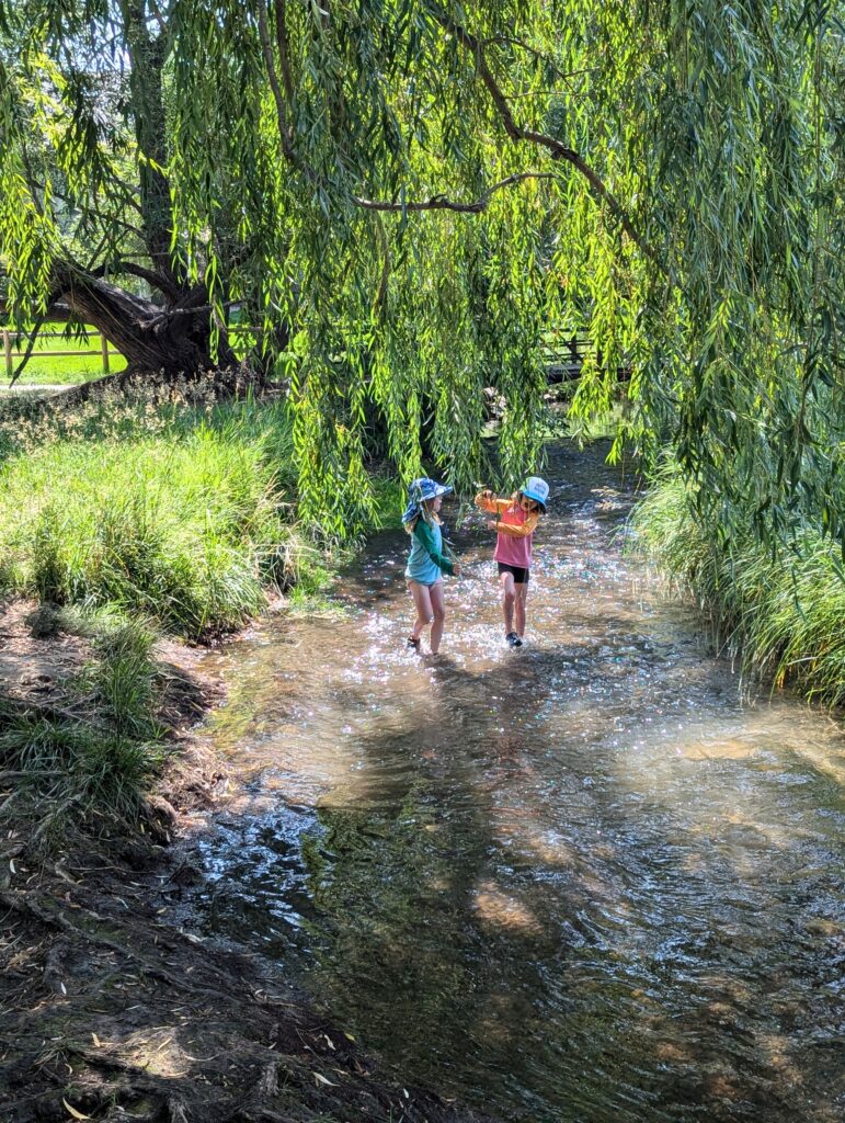 River Song Waldorf school, fort collins, co - children playing in spring creek