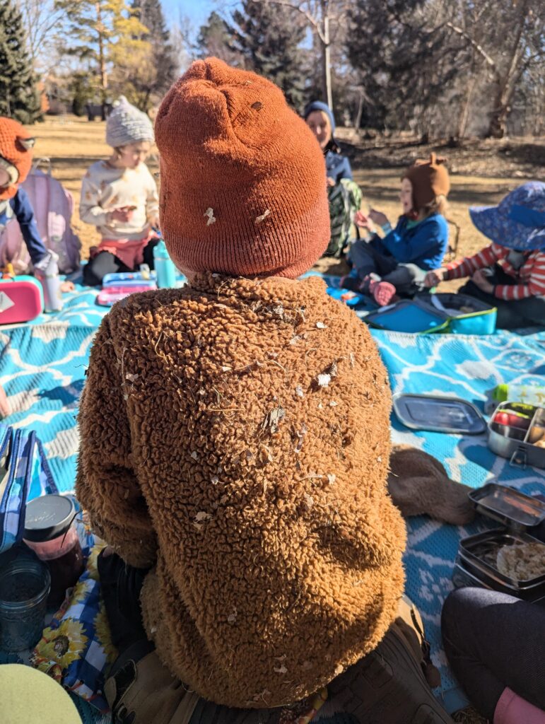 river song waldorf school fort collins, co