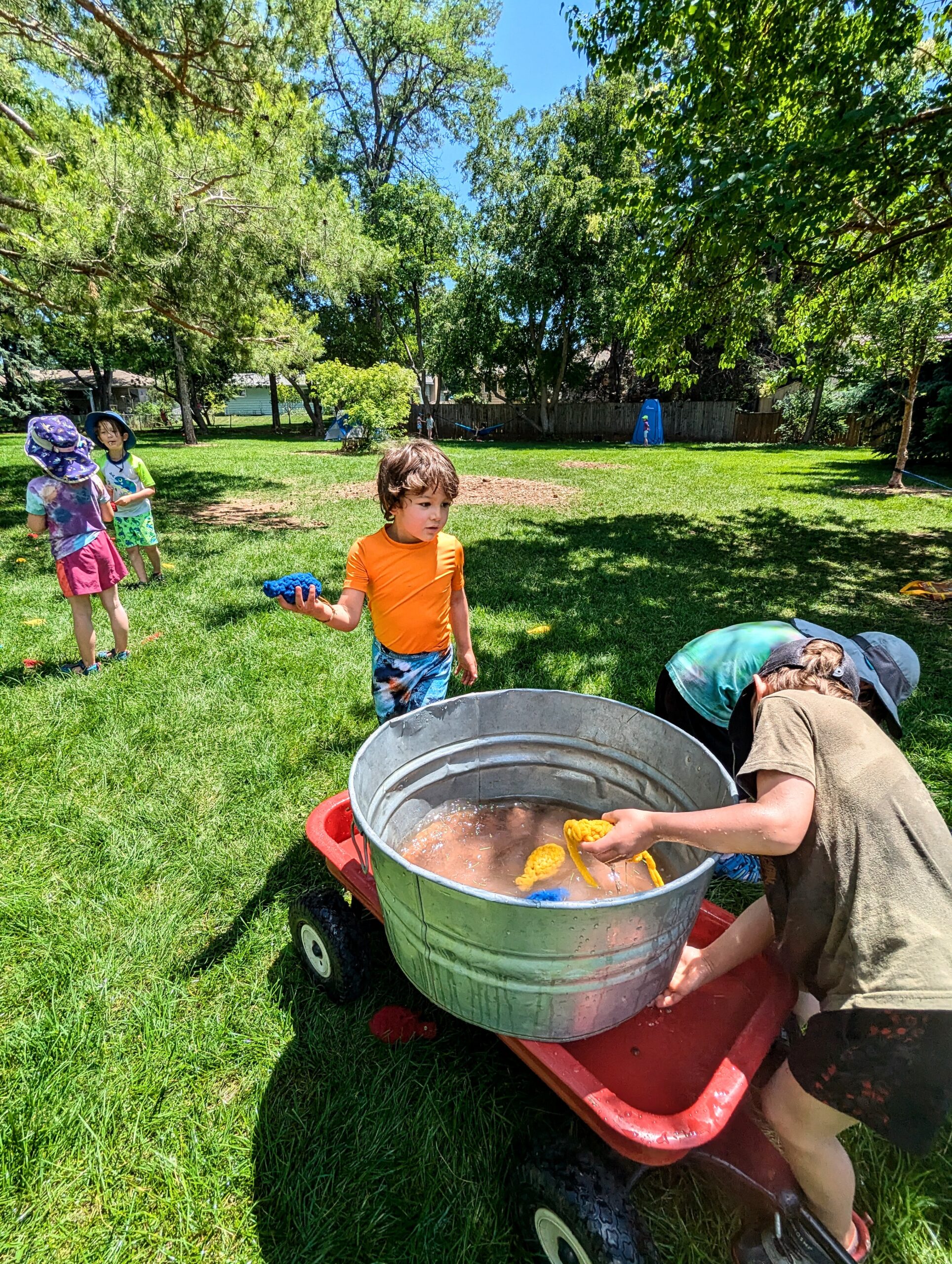 Fort Collins river song waldorf school - preschool, kindergarten, summer camps and after school