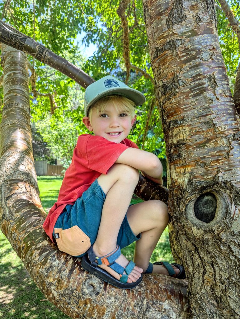 river song waldorf school fort collins, co