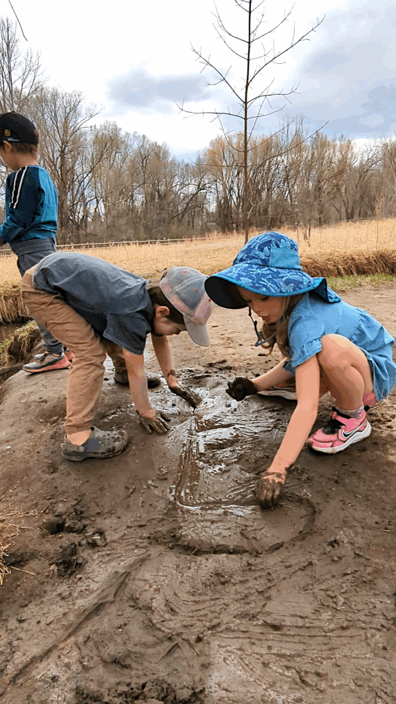 river song waldorf school fort collins, co