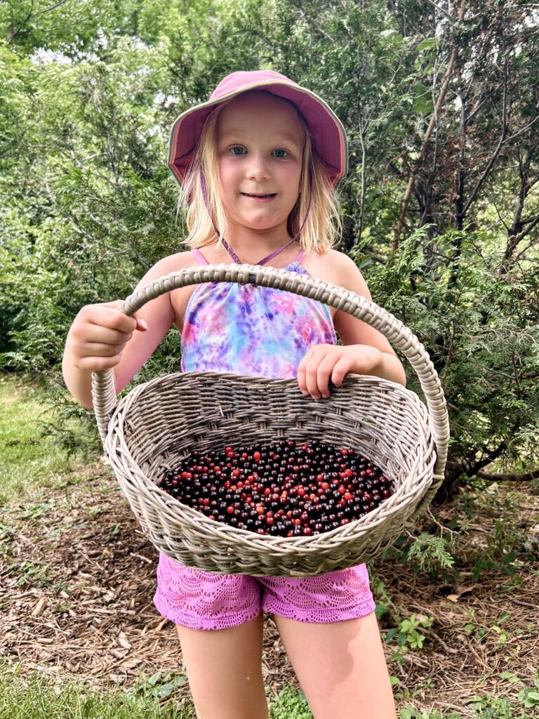 river song waldorf school fort collins, co
