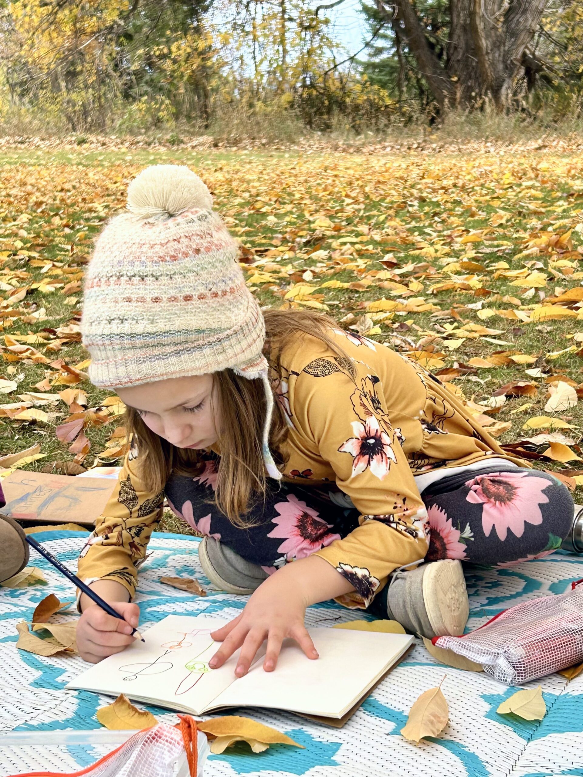 fort collins waldorf school river song - preschool, kindergarten, after school