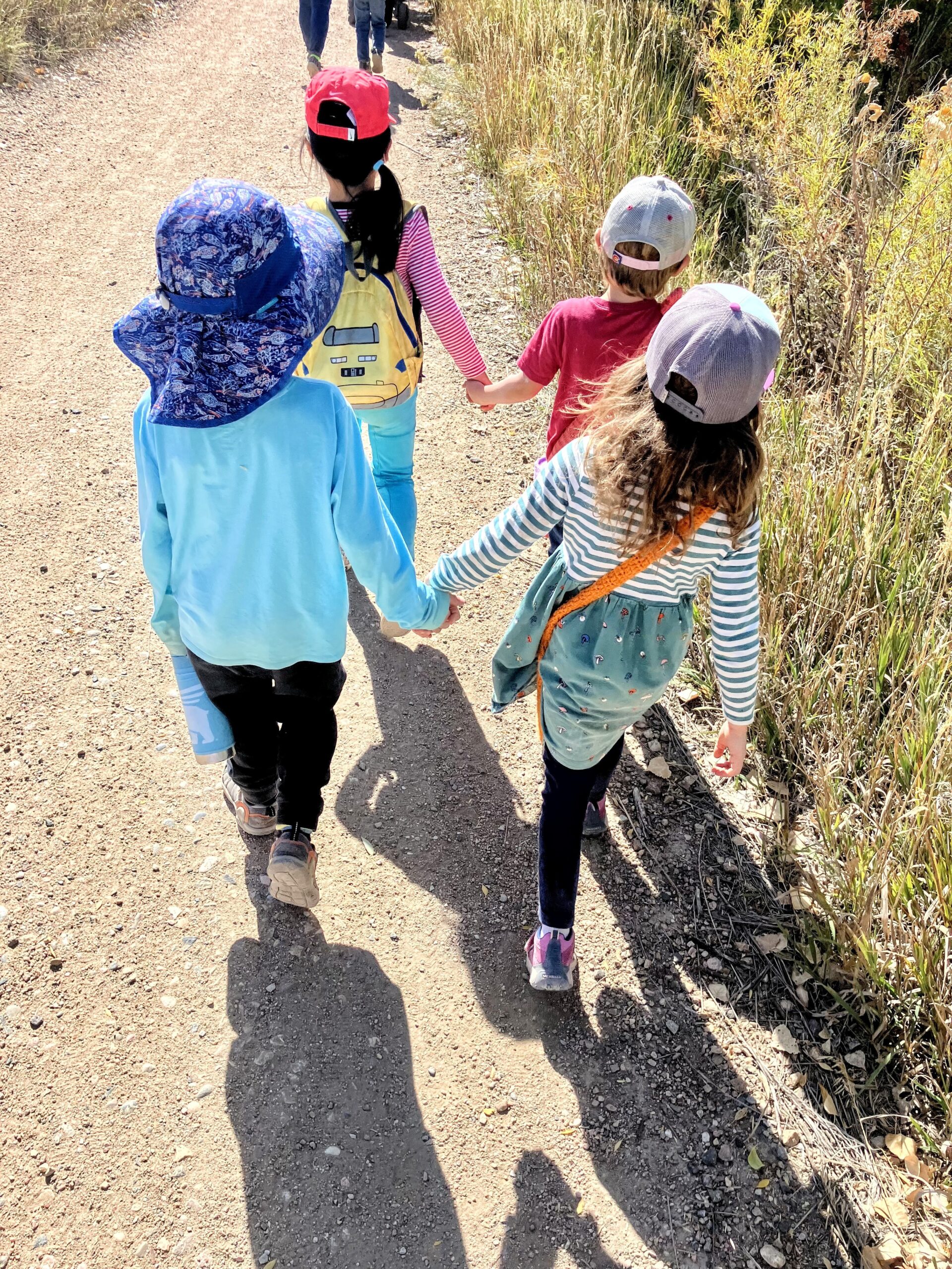 fort collins waldorf school river song - preschool, kindergarten, after school