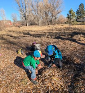 river song waldorf school fort collins, co
