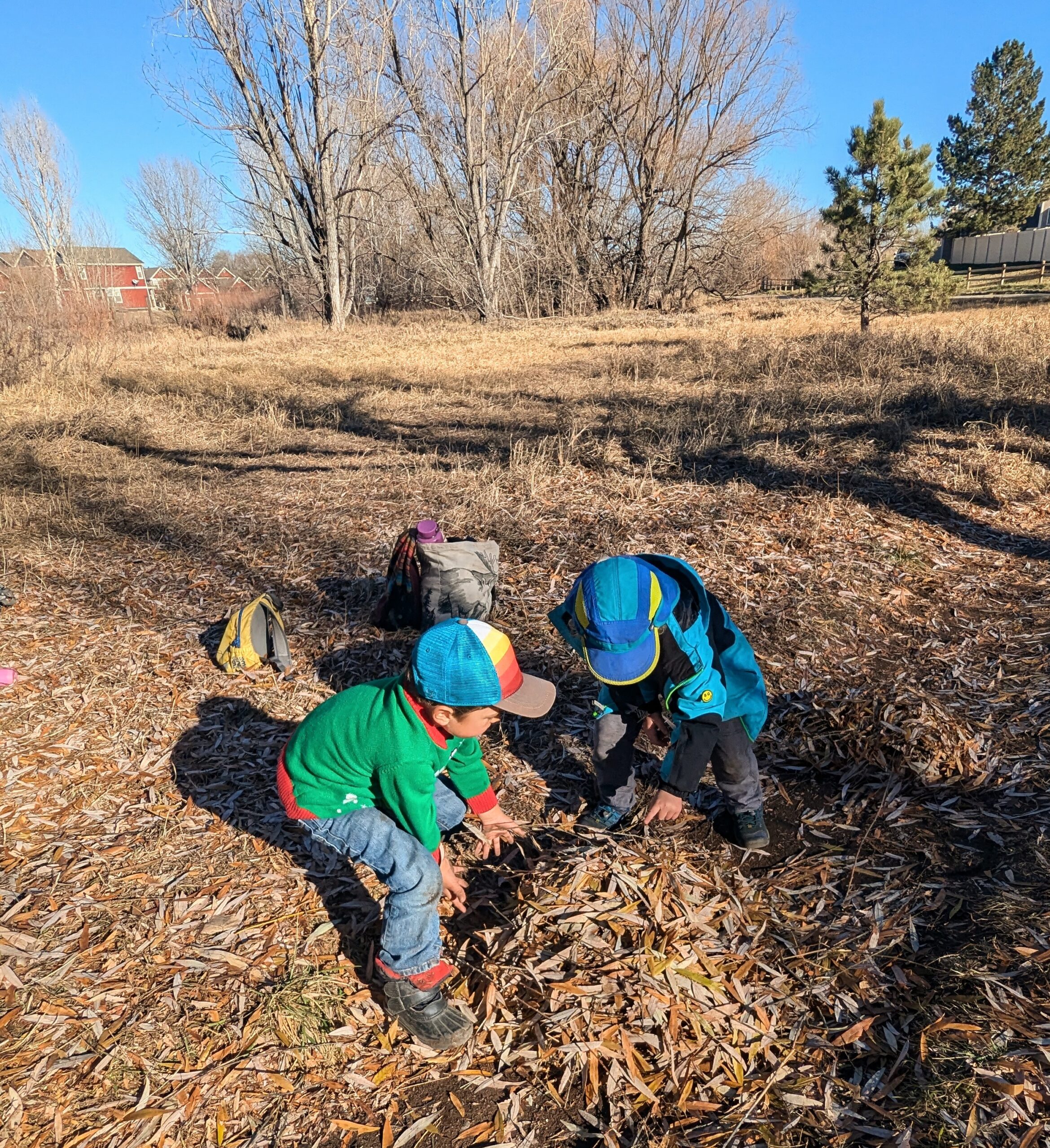 river song waldorf school fort collins, co